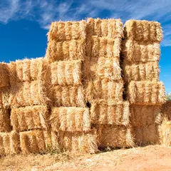 MARIENBERG - Cordel Pasto Bobina de 5kg aprox Negro 1 unidad