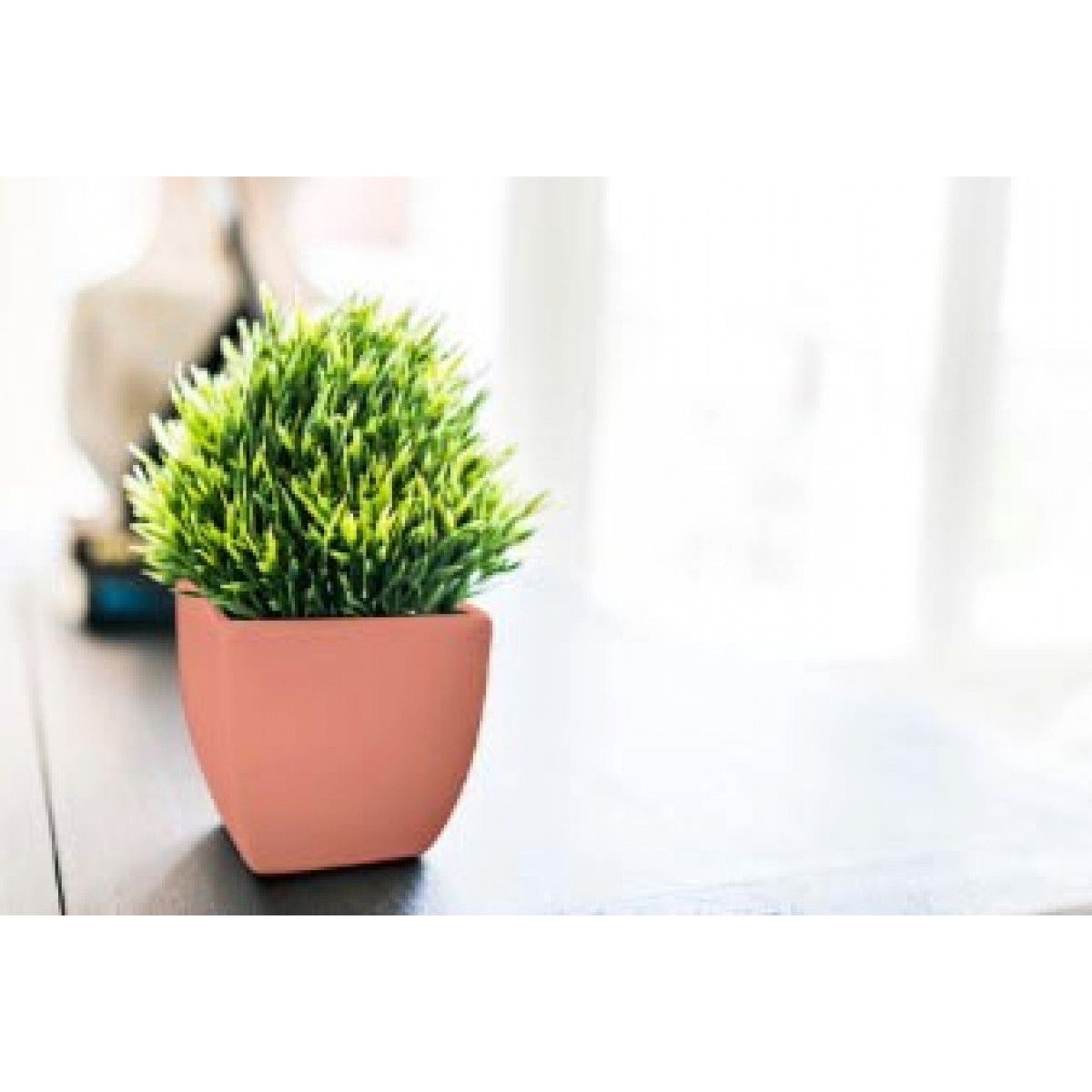 GENERICO - Pintura tizada Salmon claro 340gr Rust Oleum