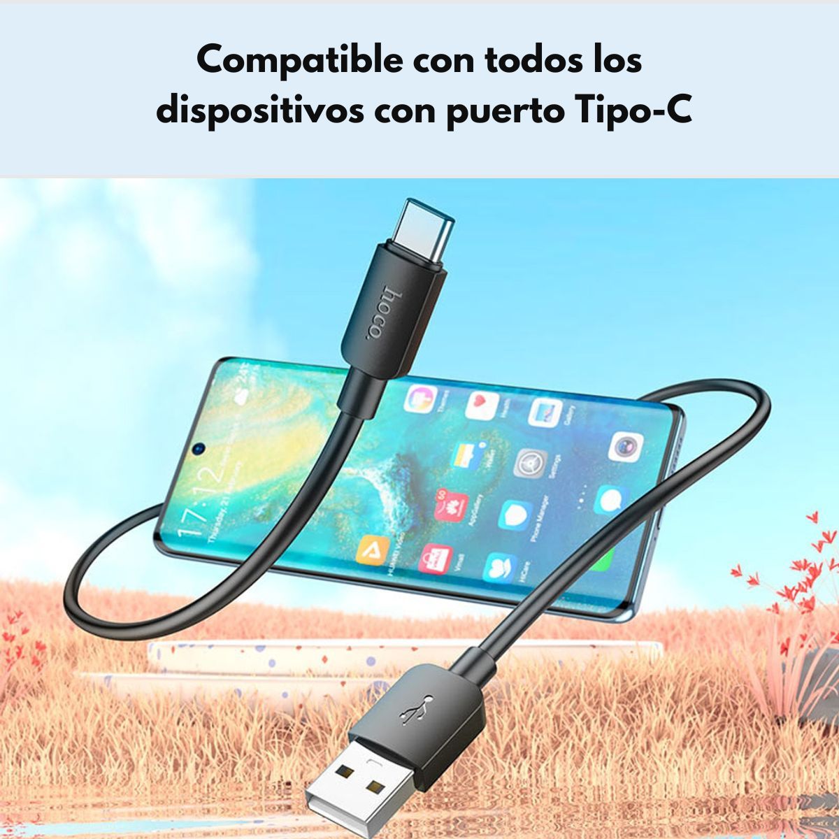 HOCO - Cable usb Hoco con entrada USB salida Tipo C