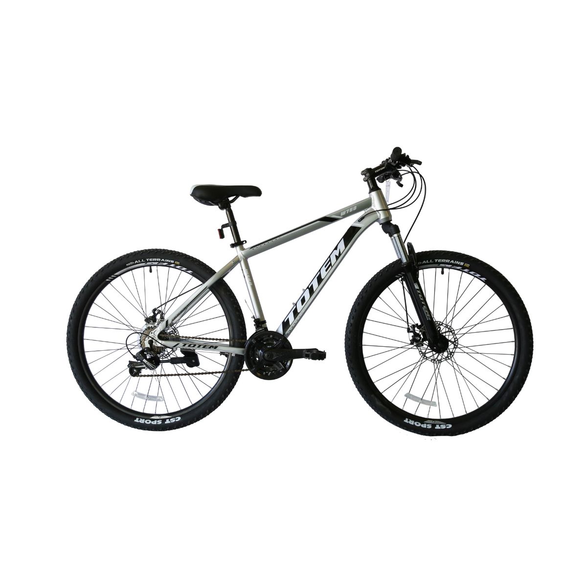 TOTEM - BICICLETA TOTEM MTB ARO 29*17 MOD W760 COLOR PLATEADO