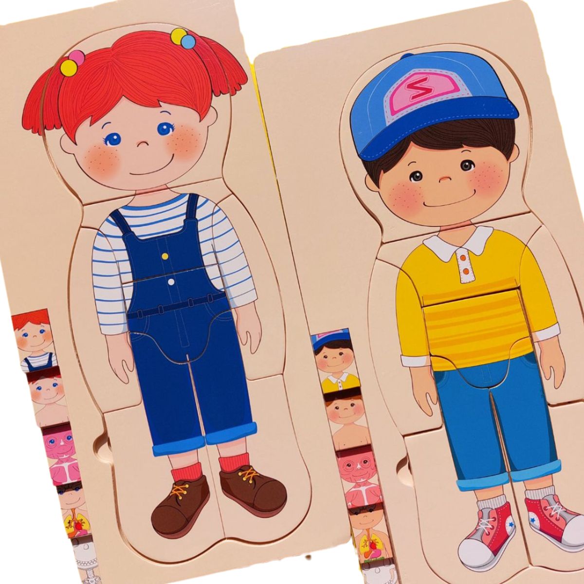 ABC - Puzzle 3D Multicapa Cuerpo Humano - 100 % MADERA