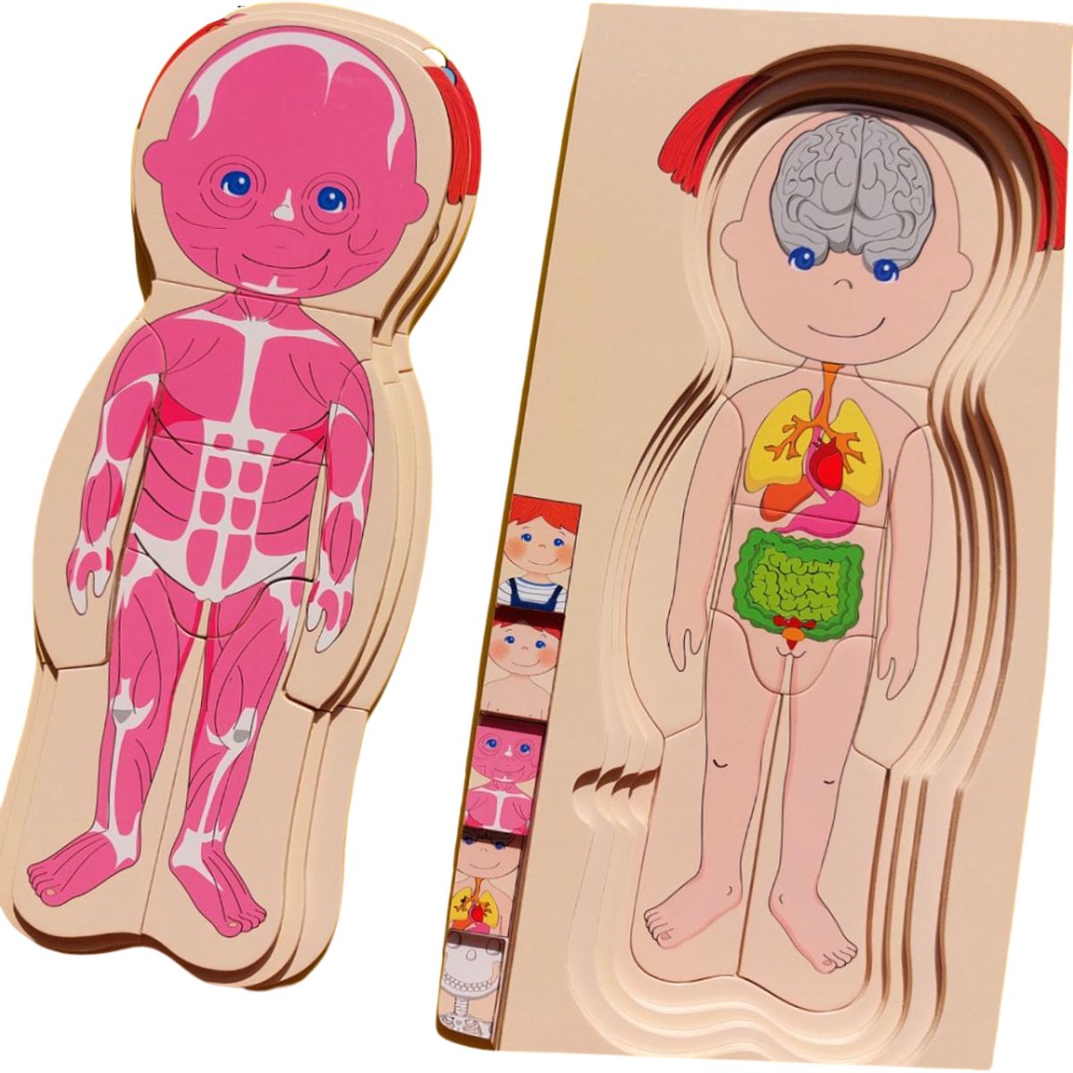 ABC - Puzzle 3D Multicapa Cuerpo Humano - 100 % MADERA