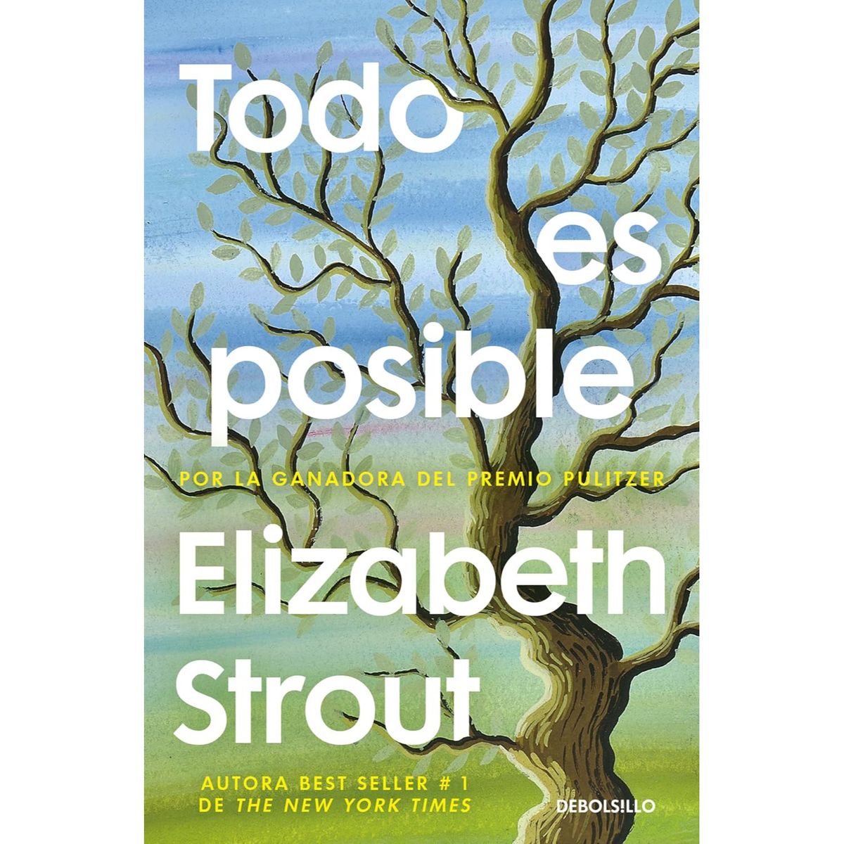 DEBOLSILLO - Todo Es Posible - Autor(a):  Elizabeth Strout