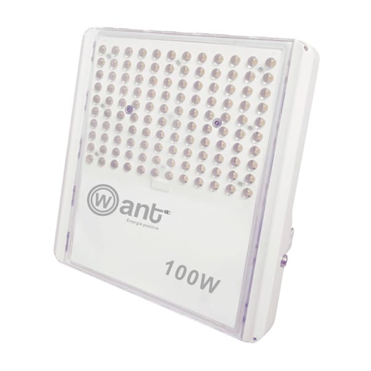 WANT - Proyector Led 100W Want MoonLight IP66 Luz Fria