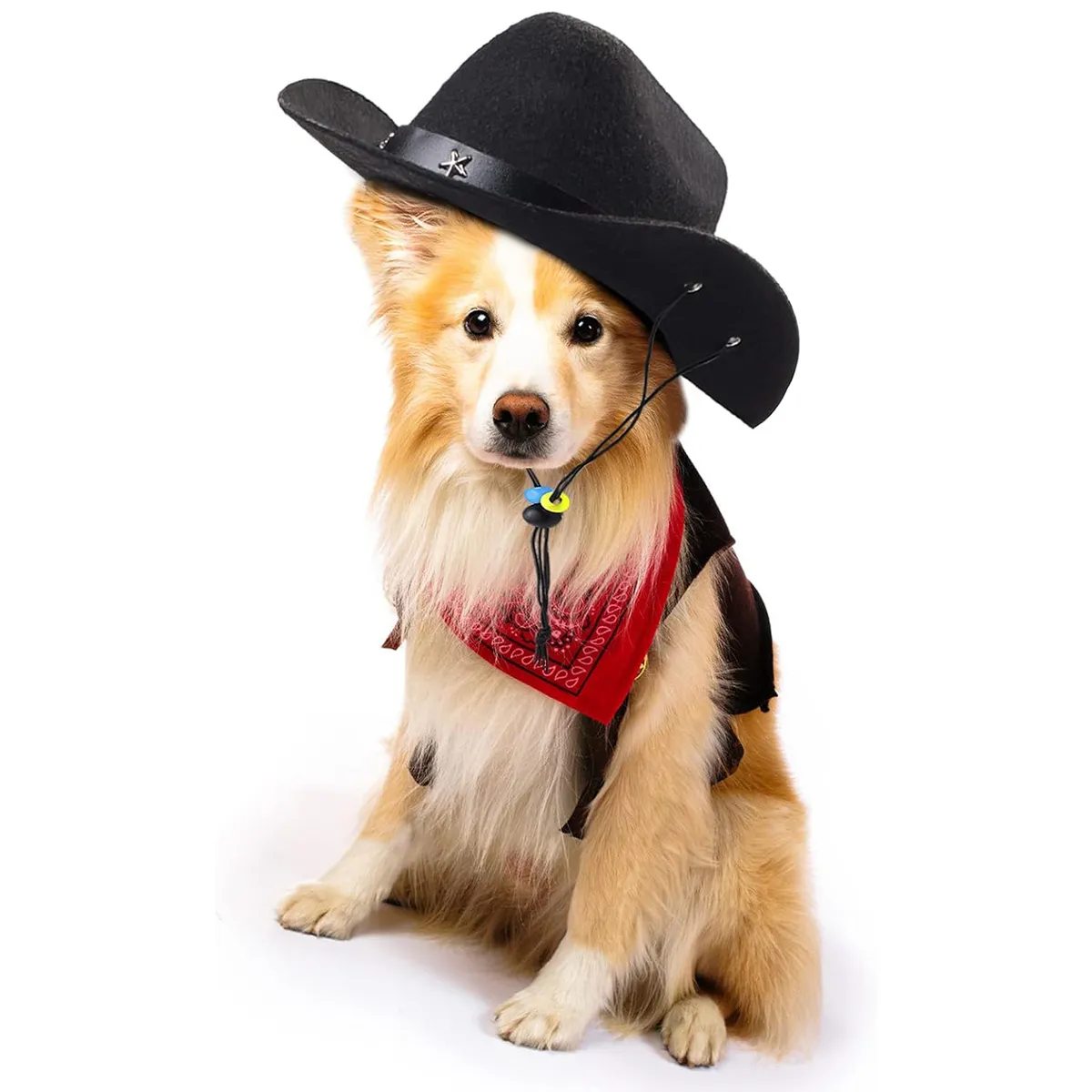 LELOX - Disfraz de vaquero para mascotas Negro