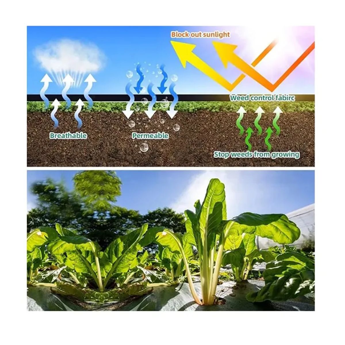 GENERICO - Ground Cover Antimaleza De 1 X 100 m Malla Antimaleza