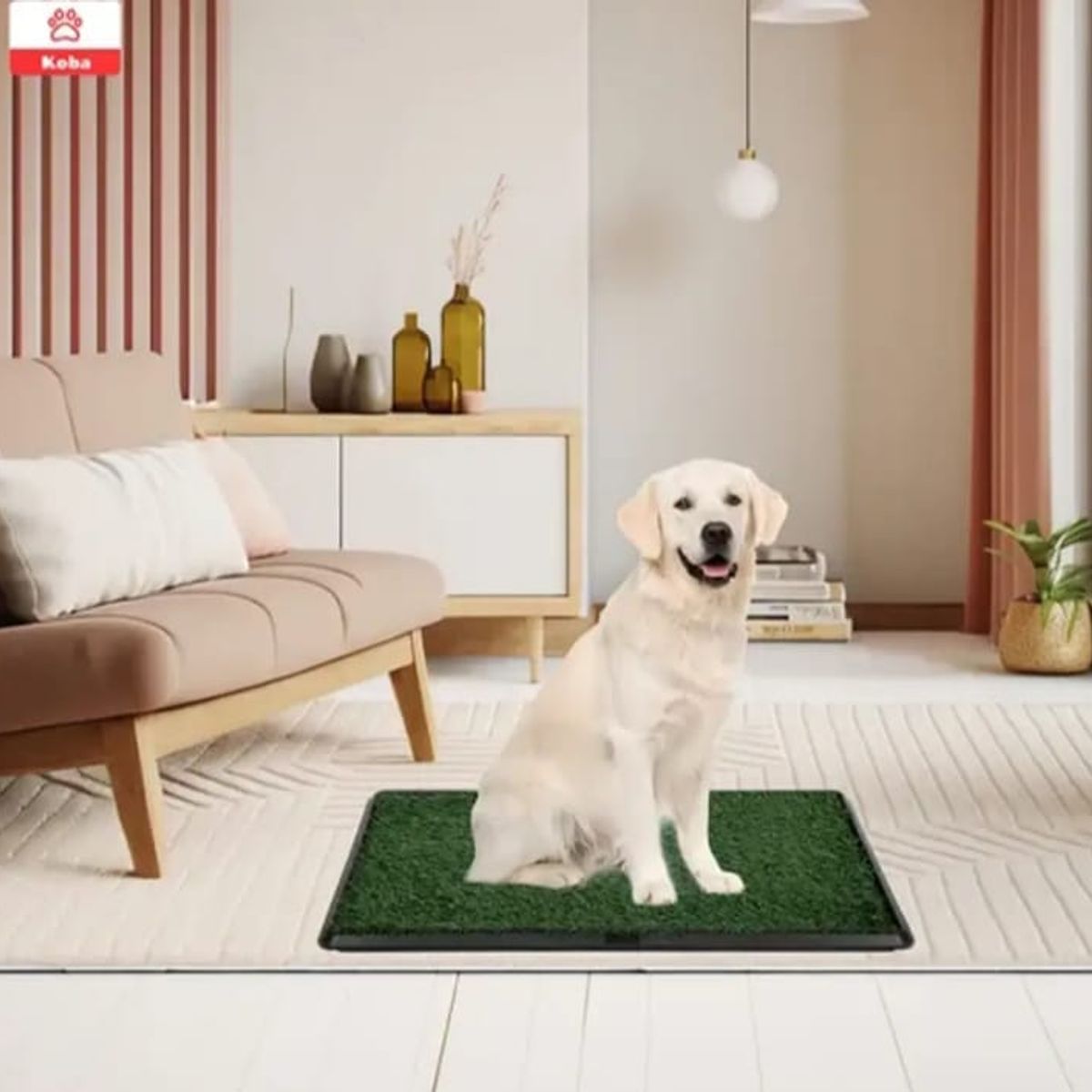 GENERICO - Baño Ecológico Sanitario para Perros