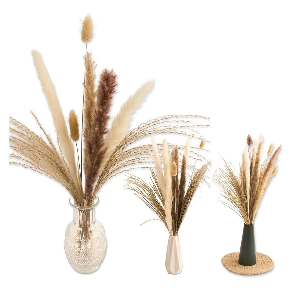 GENERICO - Ramo de Pampas Secas 65 Piezas para Decoración Natural