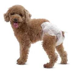 GENERICO - Paquete de Pañales Desechables para Perros y Gatas Hembras