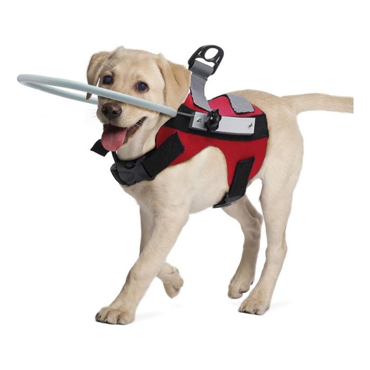 GENERICO - Anillo Guía Ultra Ligero para Perros Ciegos y su Seguridad