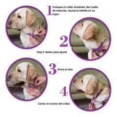 GENERICO - Collar Ajustable Calmante para Perros Alivio Natural de Ansiedad
