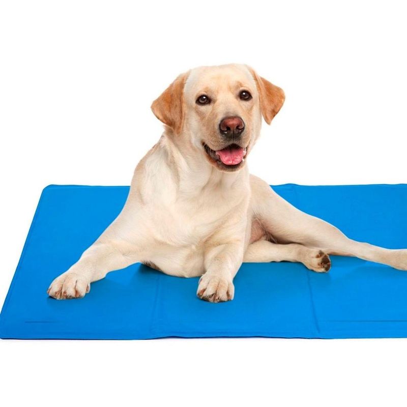 GENERICO - Colchoneta Refrescante para Perros de Gel 90x50 cm L