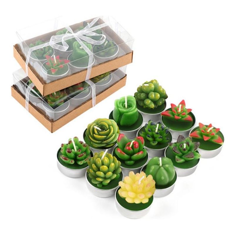 GENERICO - Velas Aromáticas Suculentas 12 Piezas Decorativas Verdes