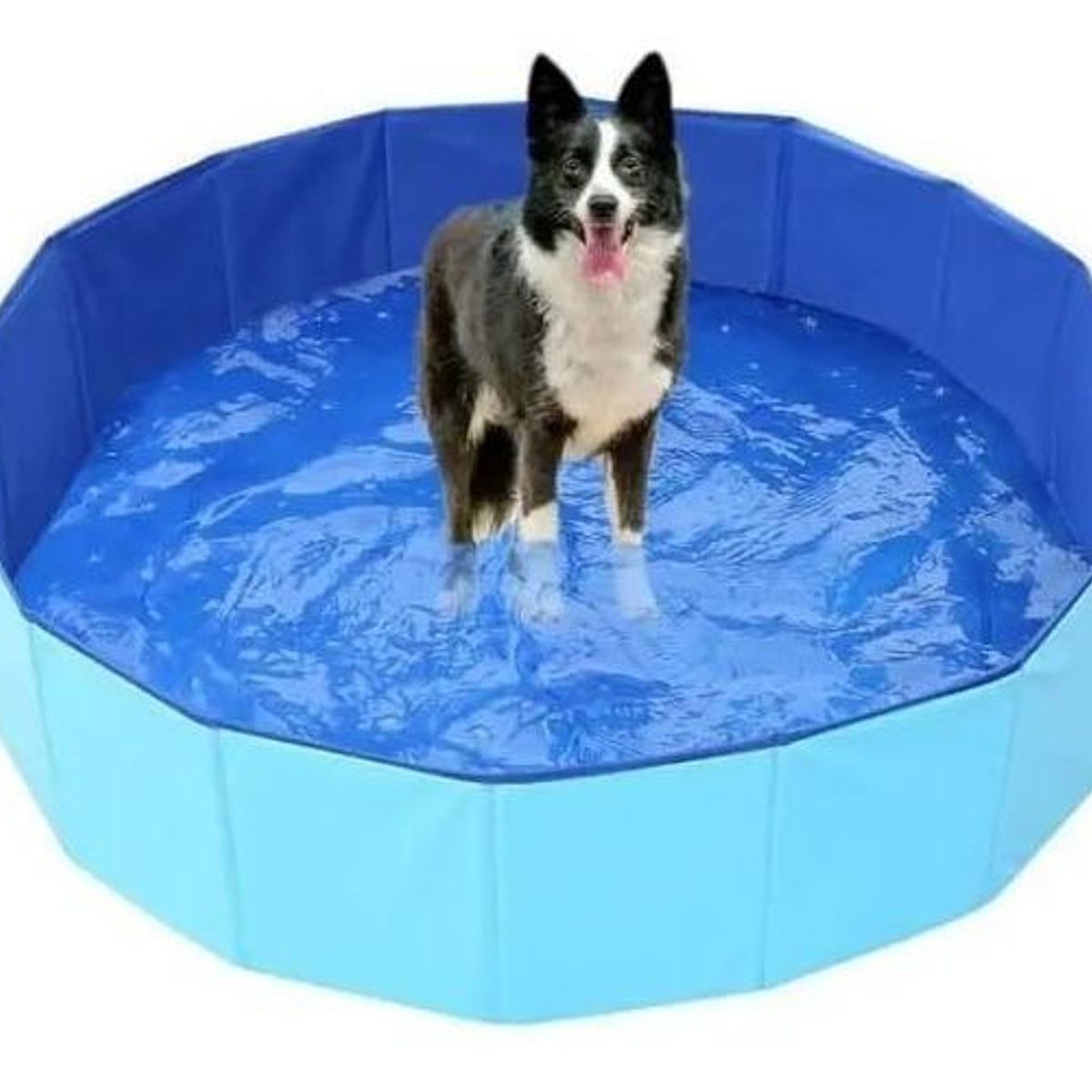 GENERICO - Piscina Plegable Redonda para Mascotas 16m de Diámetro