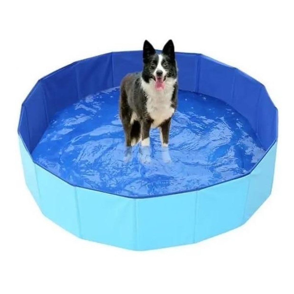 GENERICO - Piscina Plegable Redonda para Mascotas 16m de Diámetro