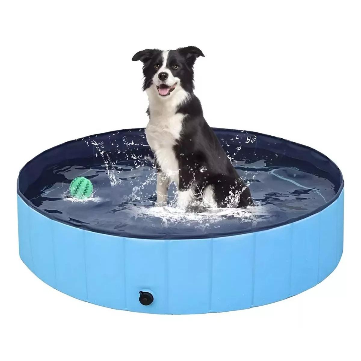 GENERICO - Piscina Plegable para Perros Azul Diversión Acuática Verano
