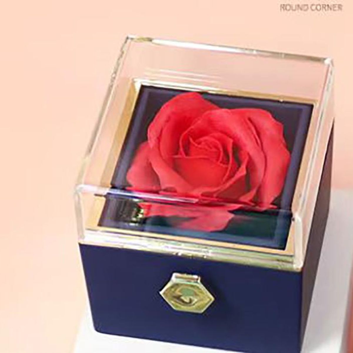 GENERICO - Rosa Artificial y Collar Mensaje de Amor en Joyero Elegante