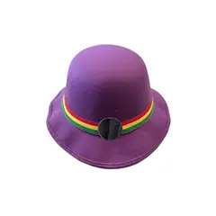 GENERICO - Gorro Sombrero Nortino Para Niños Variedad De Colores