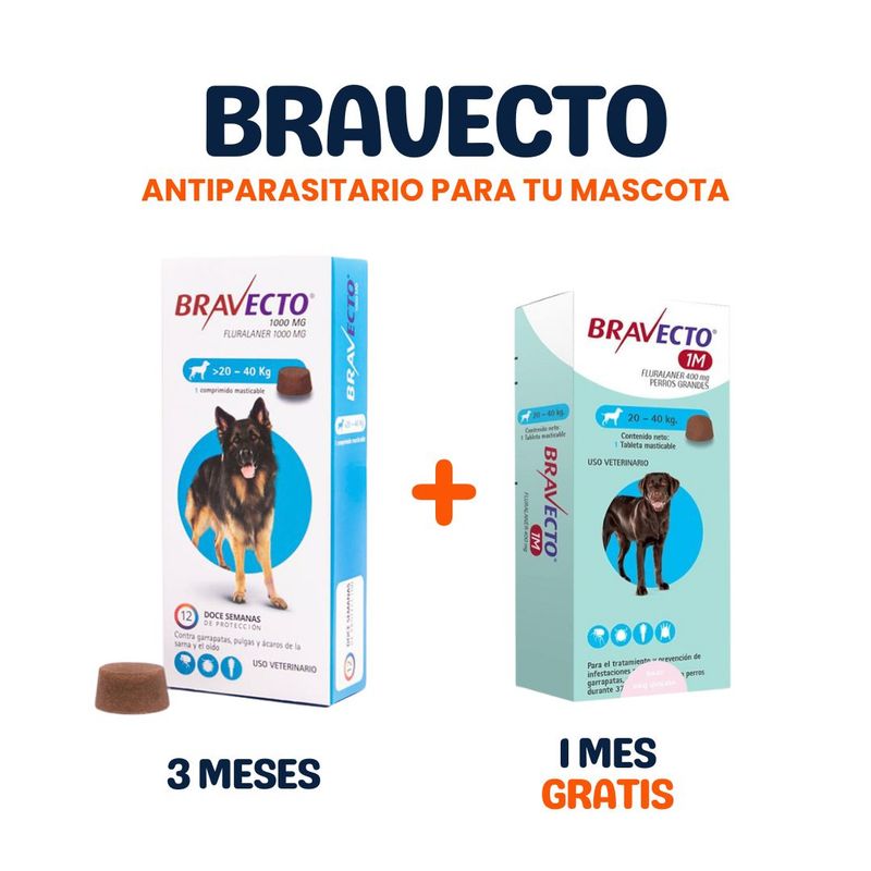 BRAVECTO - PACK BRAVECTO 20 A 40KG + BRAVECTO 1 MES GRATIS