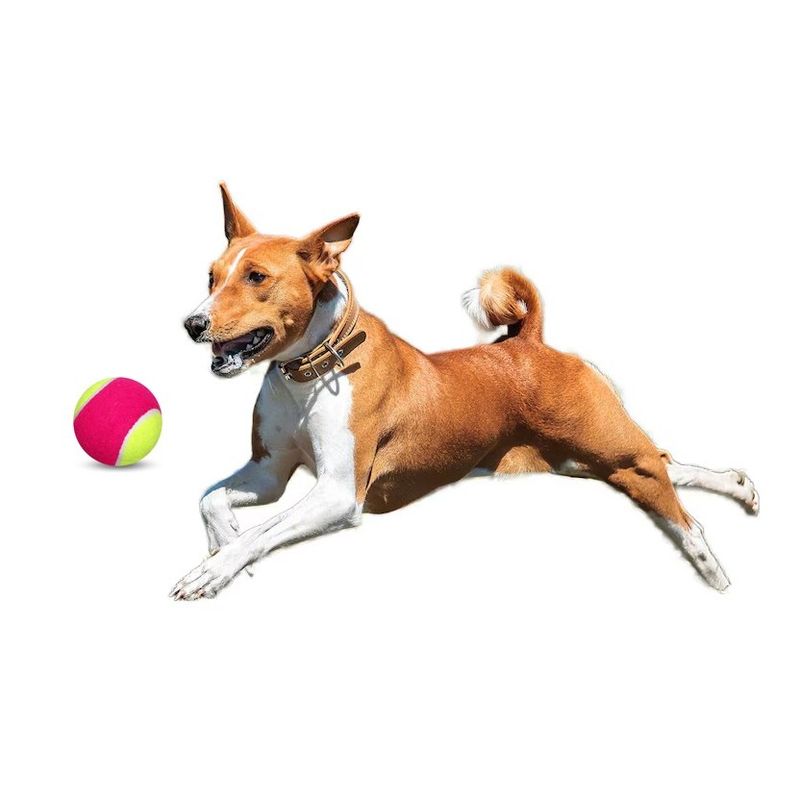 GENERICO - Pack 3 Juguete Para Perro Pelota Tenis Con Sonido Multicolor
