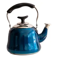 GENERICO - Tetera Azul con Filtro de Acero Inoxidable 1 Lt Elegante