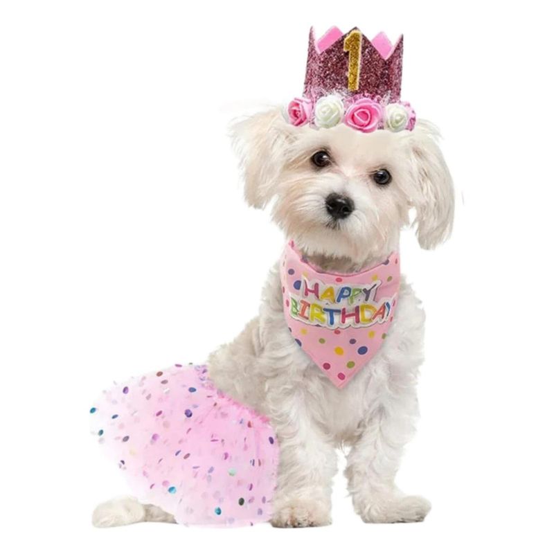 GENERICO - Decoración Rosa para Cumpleaños de Perrita Fiesta Alegre