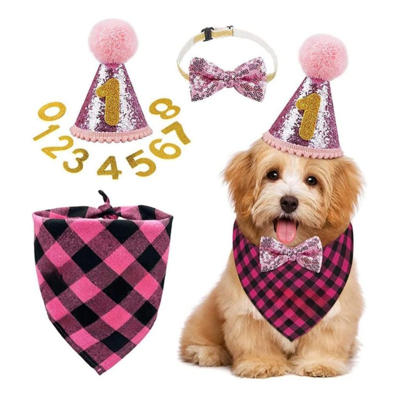 GENERICO - Fiesta Rosa Set de Cumpleaños para Perros Adorable