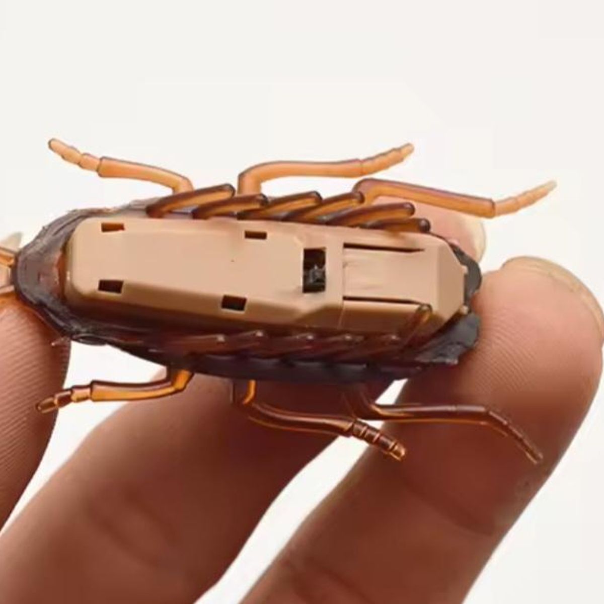 GENERICO - Cucaracha Eléctrica Interactiva para Gatos con Catnip