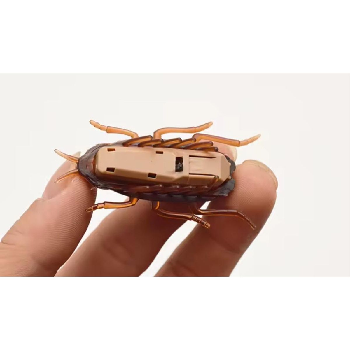 GENERICO - Cucaracha Eléctrica Interactiva para Gatos con Catnip