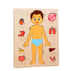 BLWOENS - Rompecabezas de órganos del cuerpo - Azul