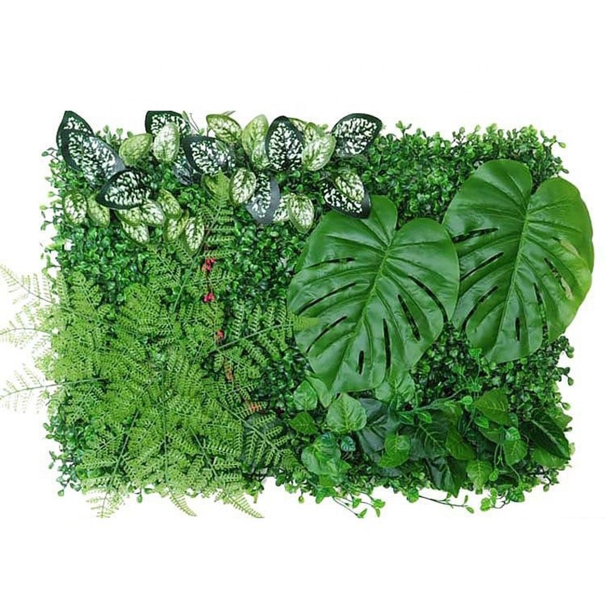 ARBUSTO REAL - Jardín Muro Vertical Artificial D palmeta Plantas 60x40 cm - Verde - Talla Única
