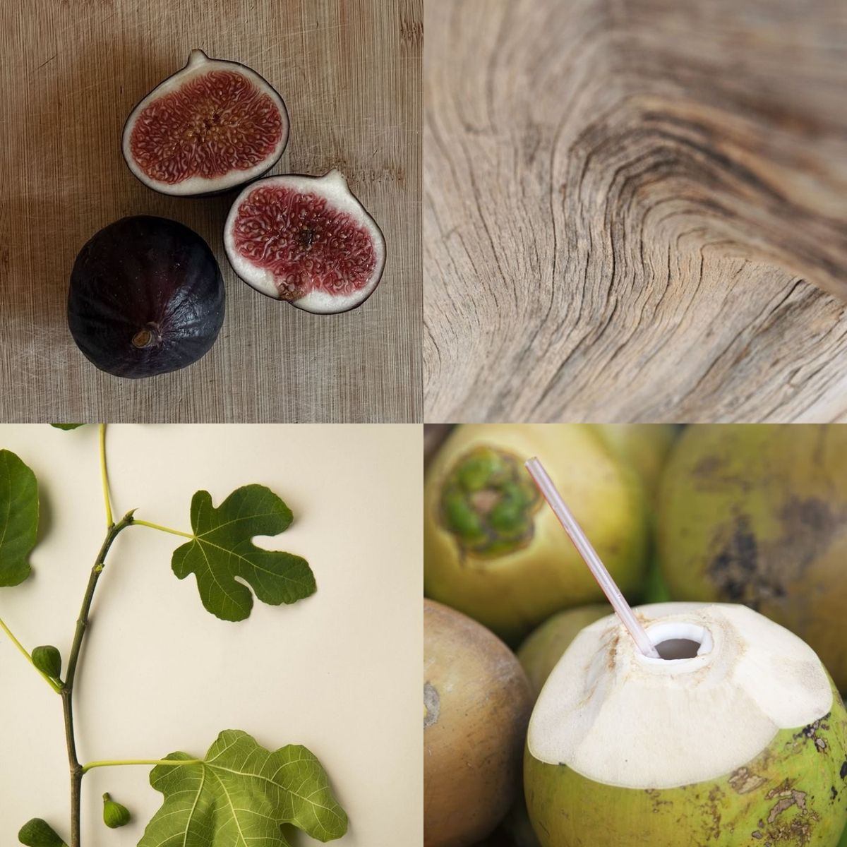 GENERICO - Aromatizante Difusor de Varillas Ficus y Coco  100 ml - Esencia Azul