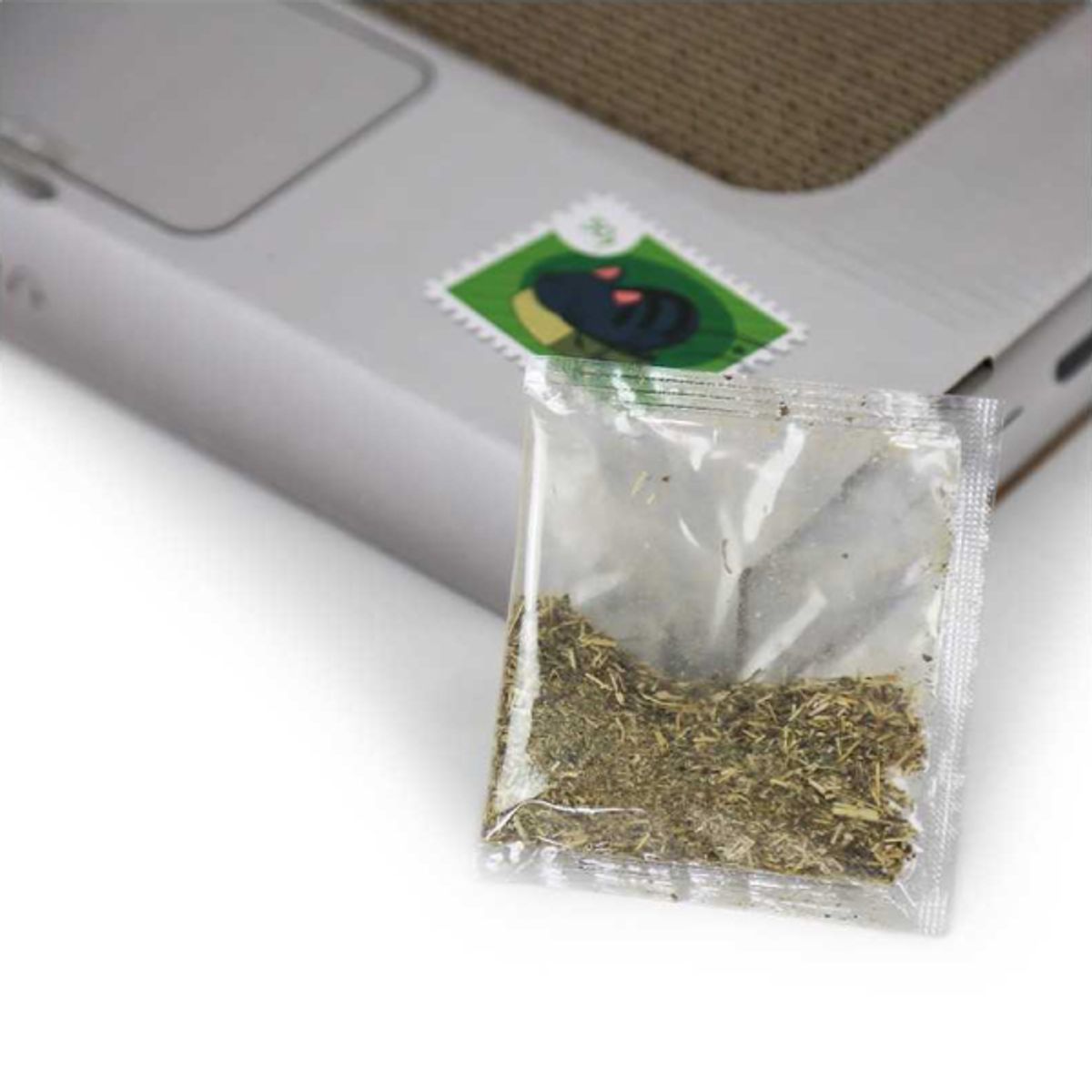 PETWANT - Rascador BRNX Catbook para Gato