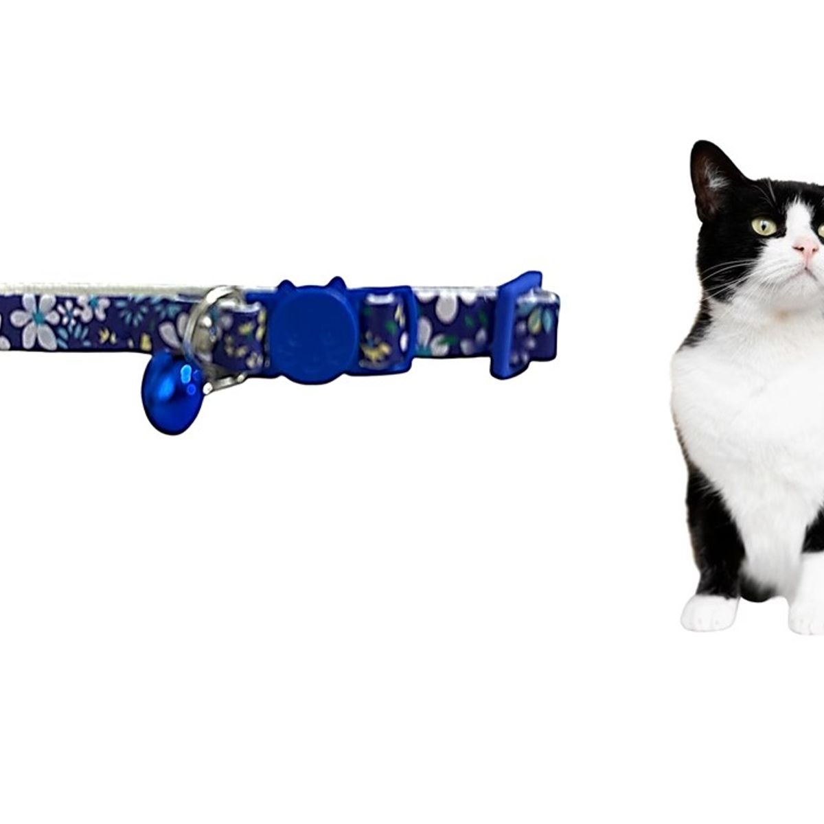 GENERICO - Collar Para Gato Gatita Anti Ahorque Diseño De Flores Azul