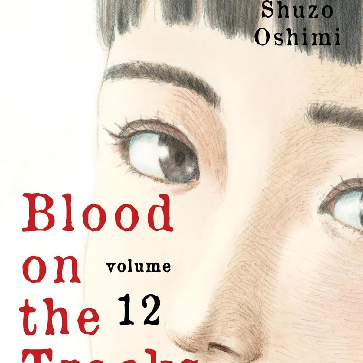 IVREA - Manga Blood On The Tracks 12