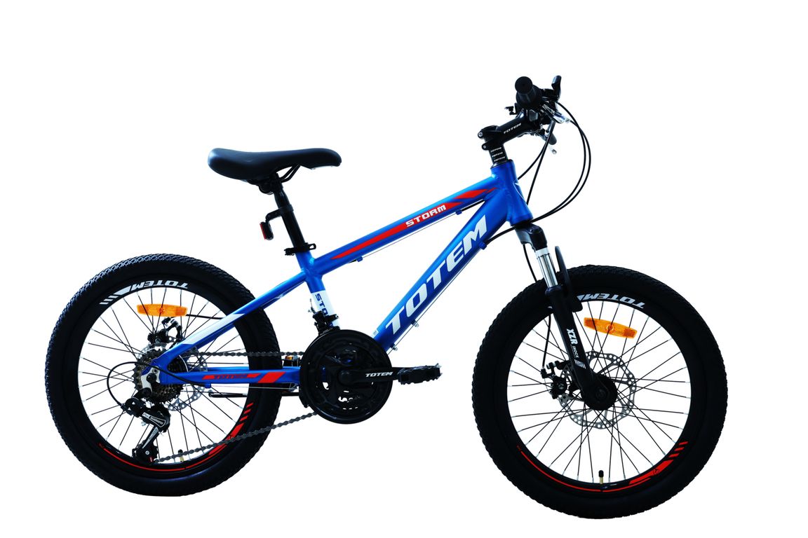 BICICLETA MTB ARO 20 MODELO STORM AZUL Azul XS