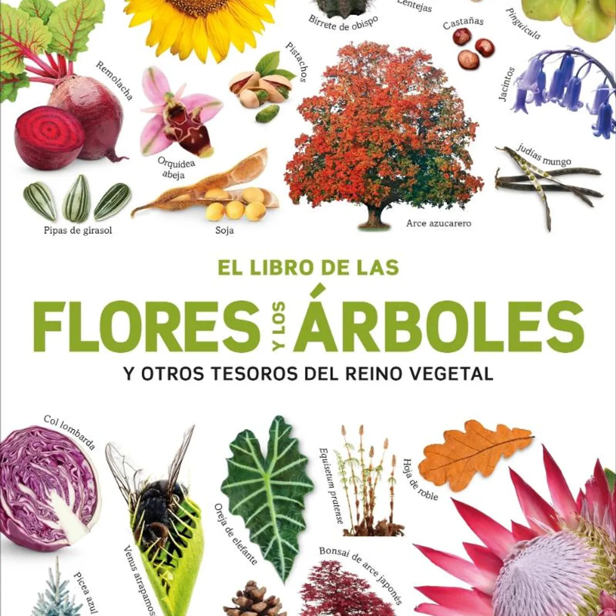 TOP10BOOKS - LIBRO El Libro De Las Flores Y Los Arboles - AUTORES DK