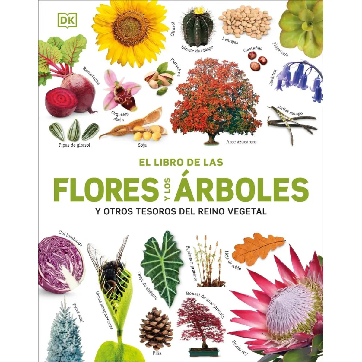 TOP10BOOKS - LIBRO El Libro De Las Flores Y Los Arboles - AUTORES DK