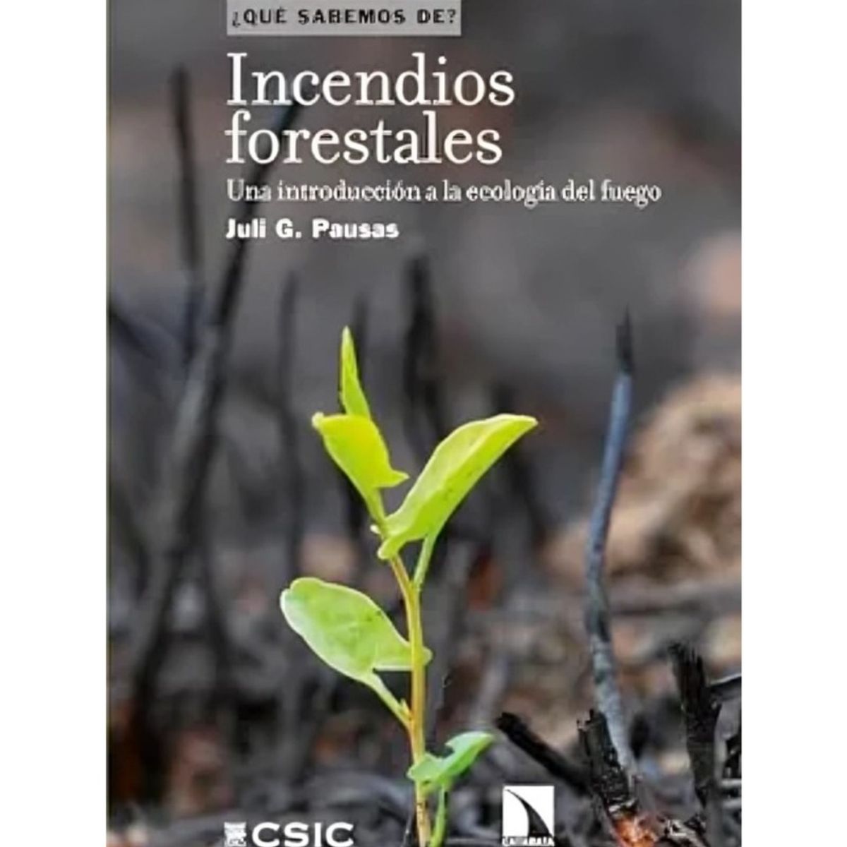 TOP10BOOKS - LIBRO Incendios Forestales - Incendios Forestales
