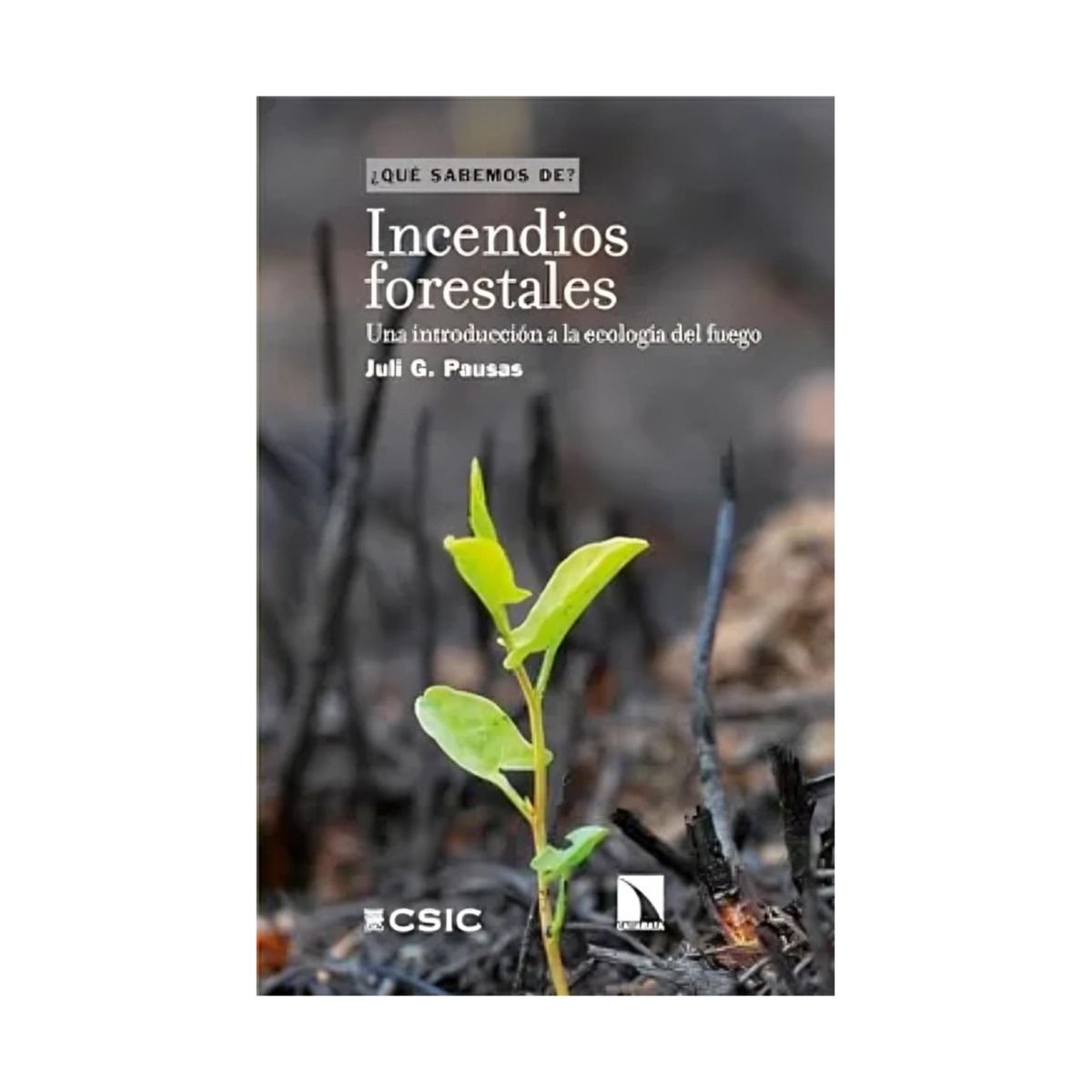 TOP10BOOKS - LIBRO Incendios Forestales - Incendios Forestales