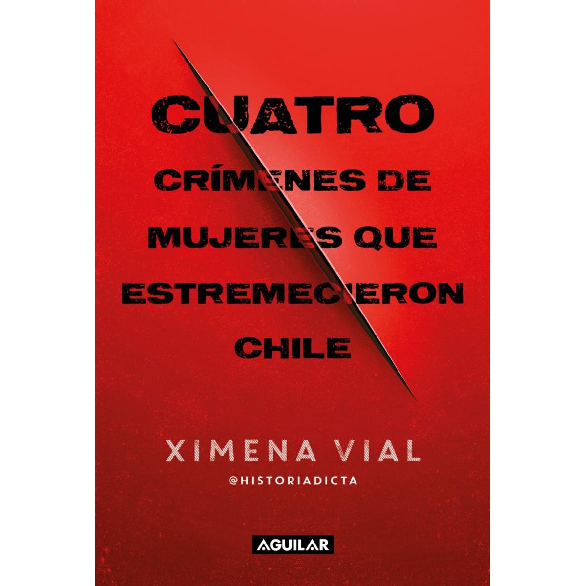TOP10BOOKS - LIBRO Cuatro Crimenes De Mujeres Que Estremeci
