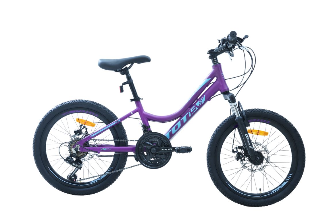 BICICLETA MTB ARO 20 MODELO ELISE MORADO Morado XS