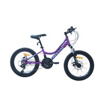 BICICLETA MTB ARO 20 MODELO ELISE MORADO