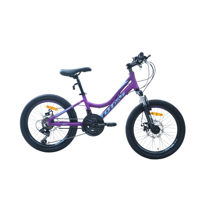 TOTEM - BICICLETA TOTEM MTB ARO 20 MODELO ELISE MORADO