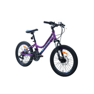 Imagen 2 del producto BICICLETA MTB ARO 20 MODELO ELISE MORADO