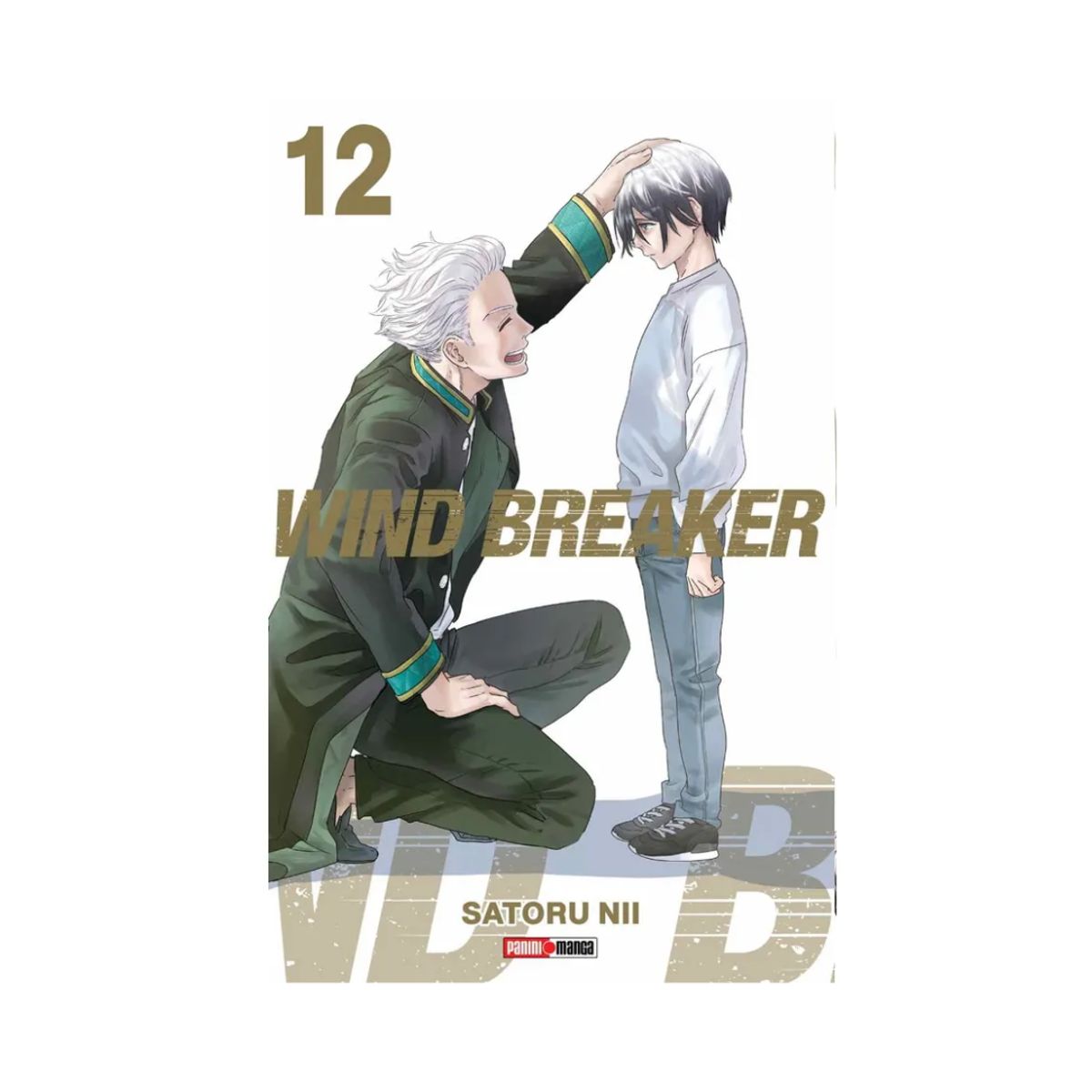 PANINI CHILE - Wind Breaker N°12