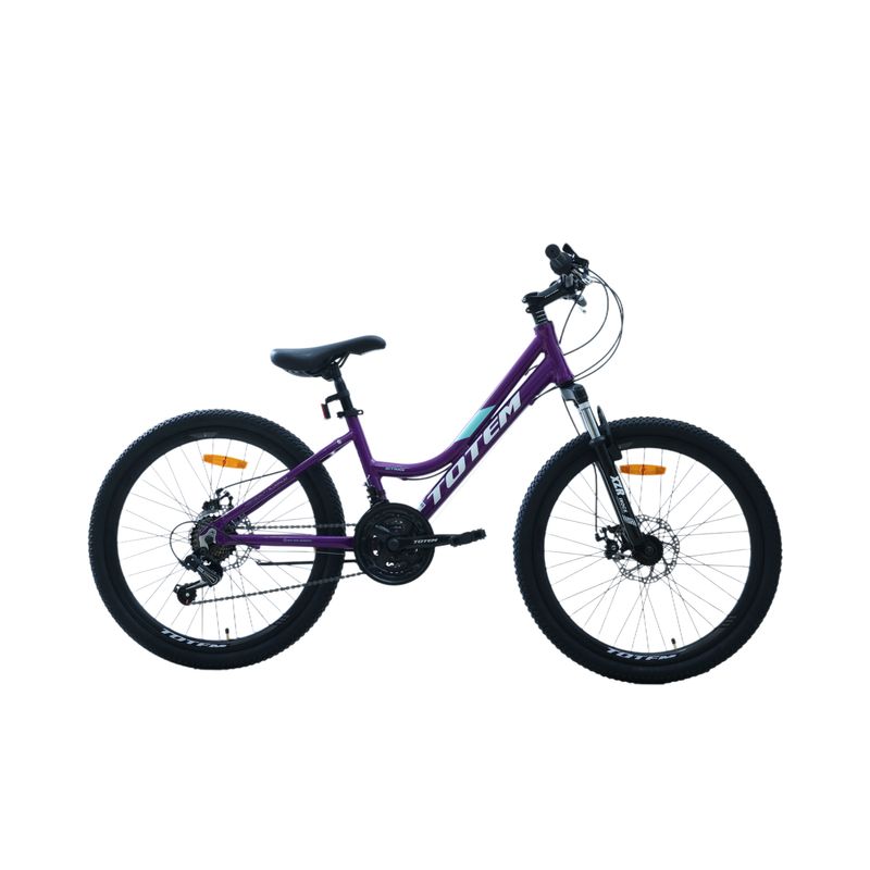 TOTEM - BICICLETA TOTEM MTB ARO 24 MODELO SITARA MORADO