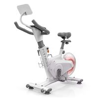 Bicicleta Spinning Magnetica Profesional k11 8 KG