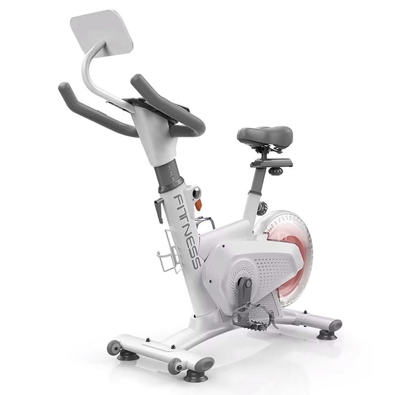 MUNDO ONLINE - Bicicleta Spinning Magnetica Profesional k11 8 KG
