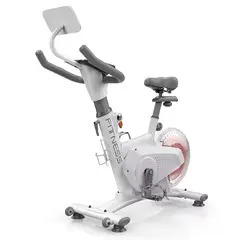MUNDO ONLINE - Bicicleta Spinning Magnetica Profesional k11 8 KG